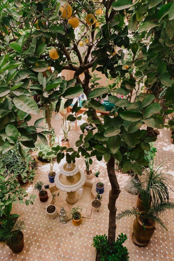 Riad Maison 24 マラケシュ エクステリア 写真